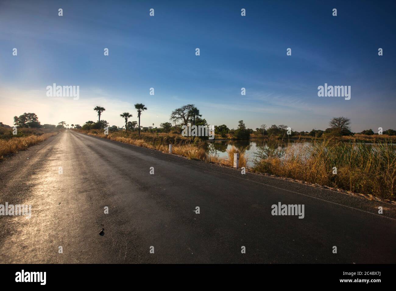 Straße entlang eines Sümpfes, Gambia, North Bank Division NBD , Dasilameh Stockfoto