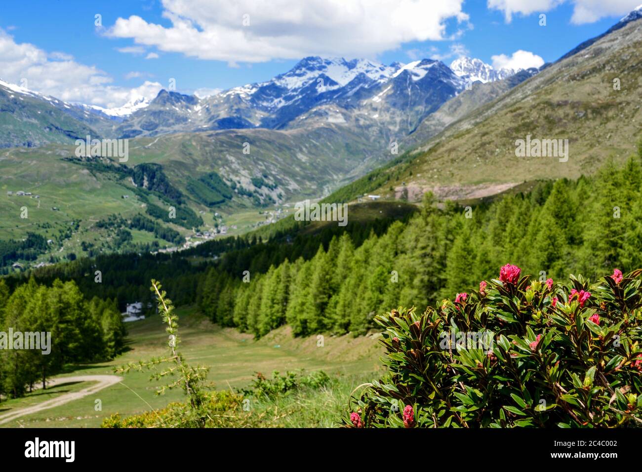 Valle Spluga - Italien Stockfoto