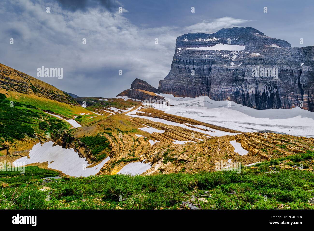 5024 EIN Sturm nähert sich dem Grinnell Glacier im dunklen Kontrast zu den Frühlingsfarben am Boden - Glacier National Park, Montana Stockfoto