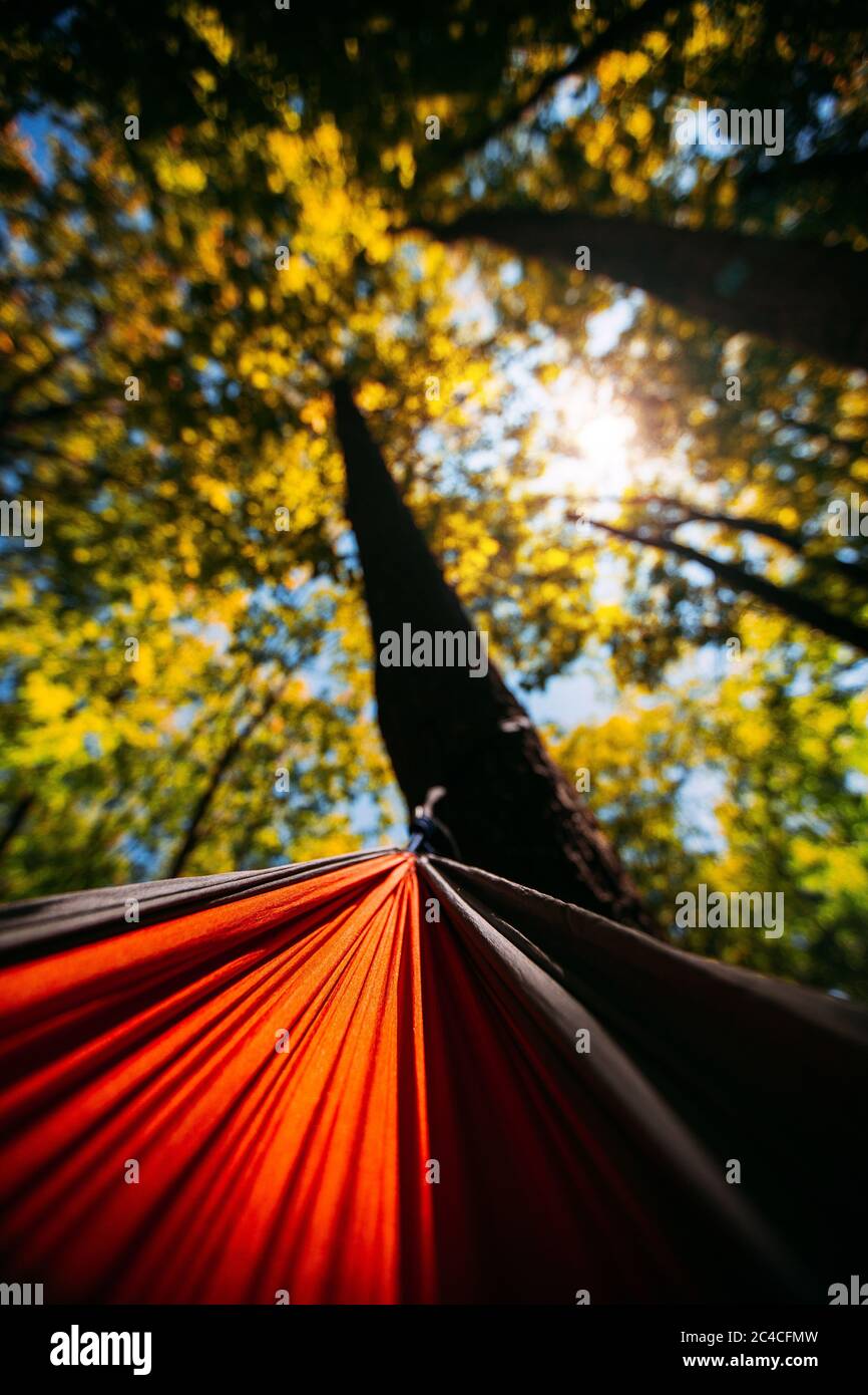 Schaukeln, während Sie in einer orangefarbenen Hängematte liegen und die Sonne im Sommer an einem Strand durch die Bäume scheint Stockfoto