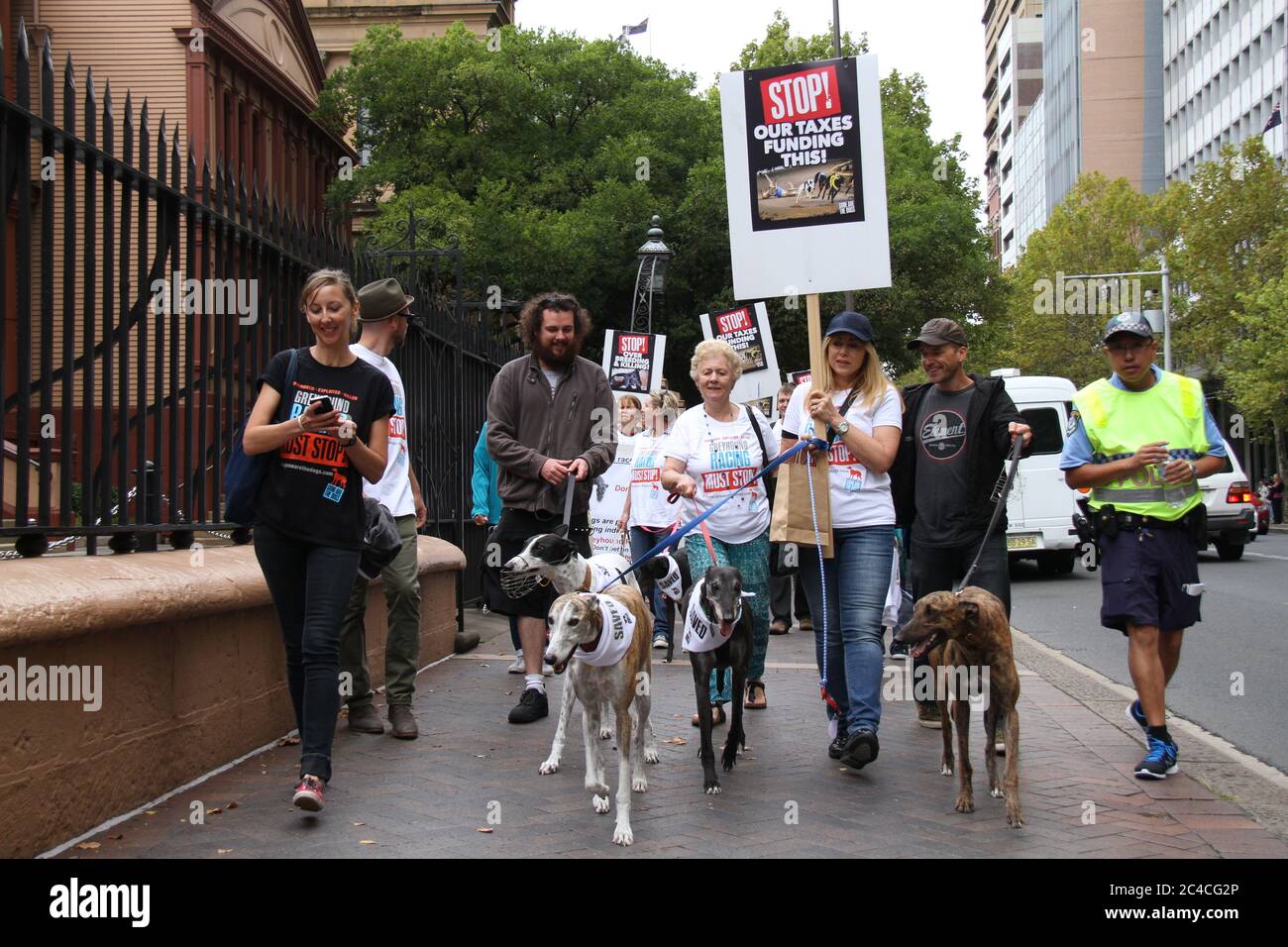 Demonstranten gegen Grausamkeit in der Windhundindustrie marschieren zum NSW-Parlamentsgebäude in Sydney. Stockfoto