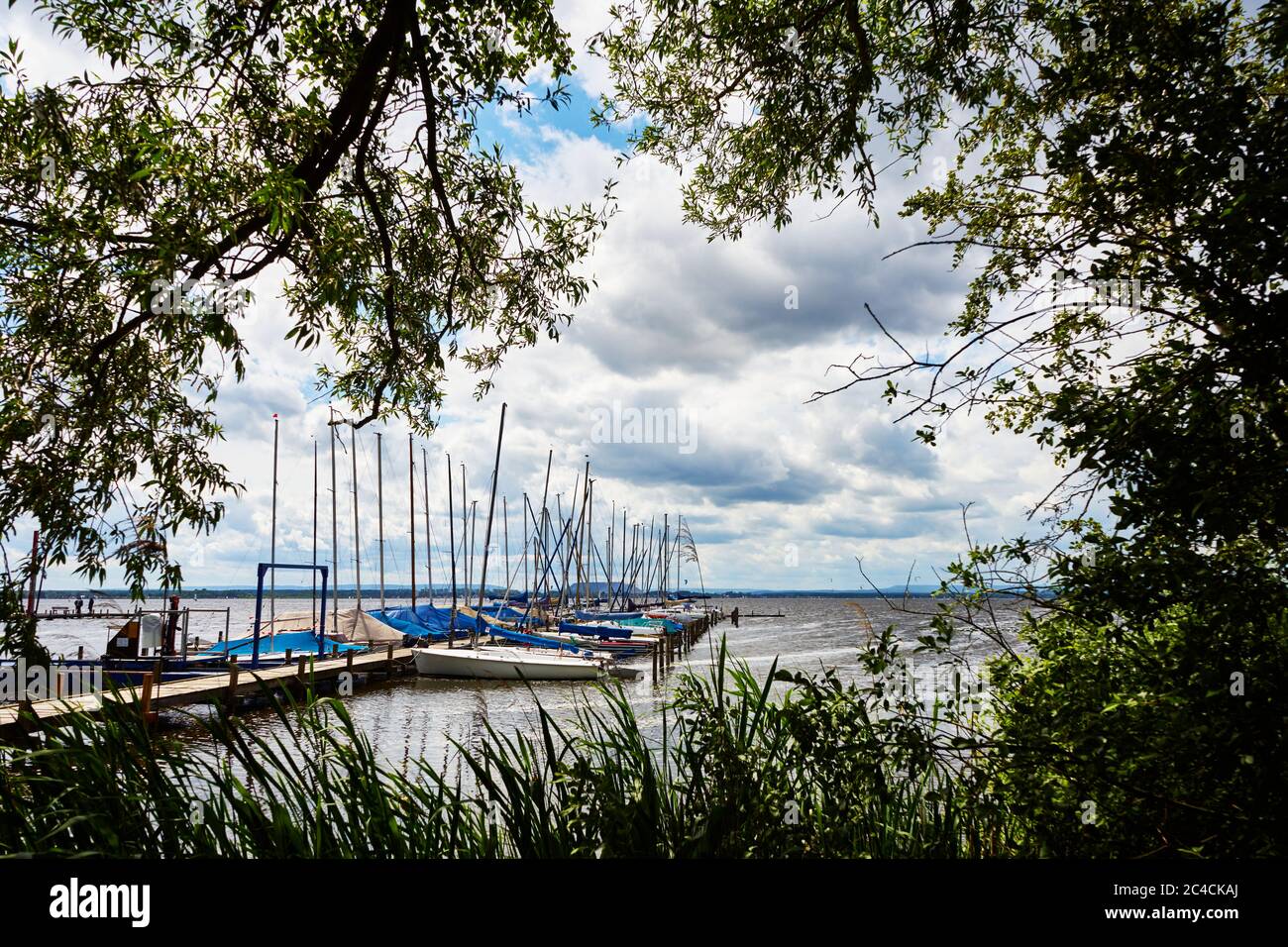 Blick auf Segelboote umrahmt von dunklen Büschen und Bäumen an einem Steg im Steinhuder Meer Stockfoto