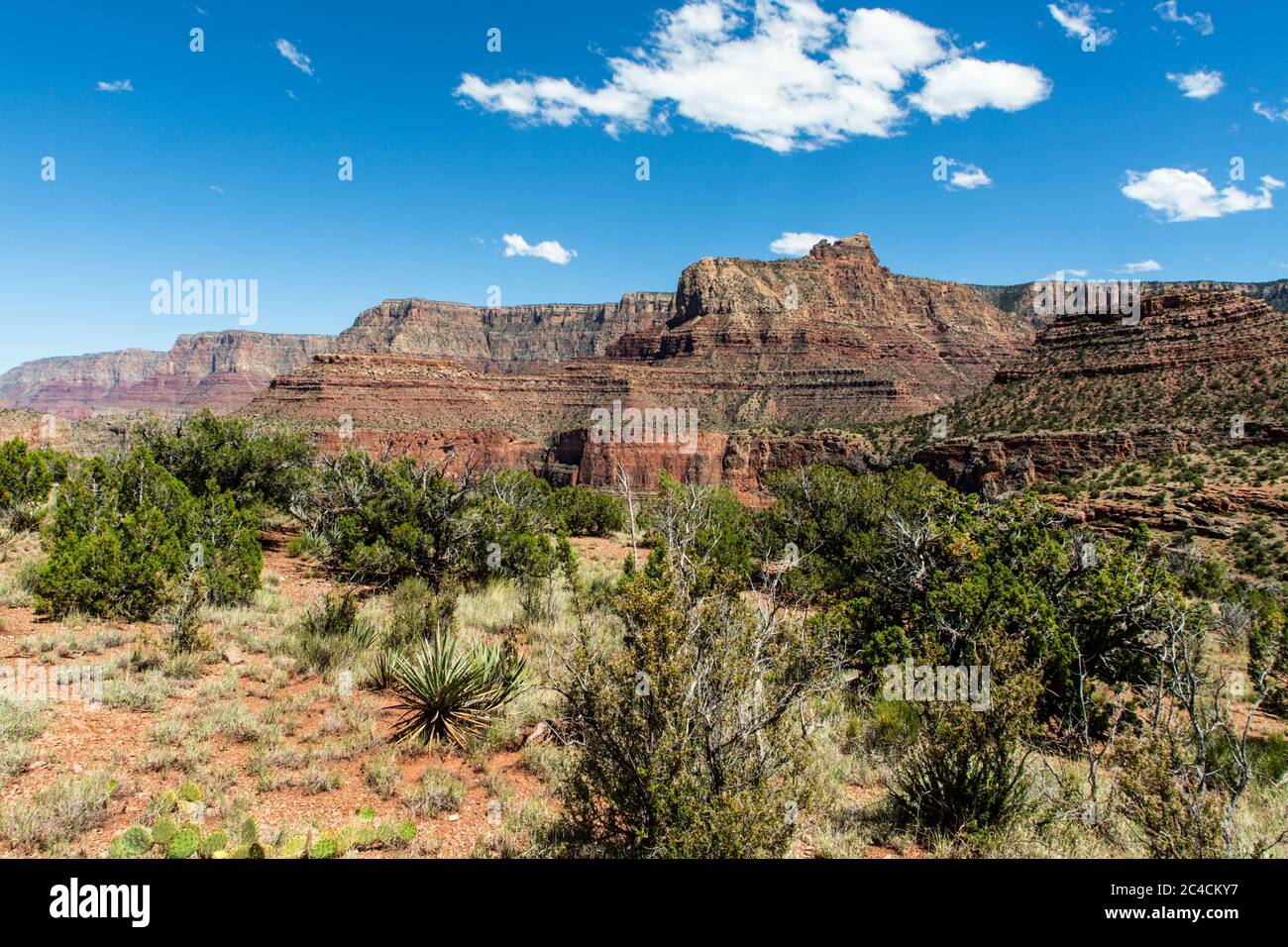 Der Grand Canyon, eines der sieben Naturwunder der Welt. Stockfoto