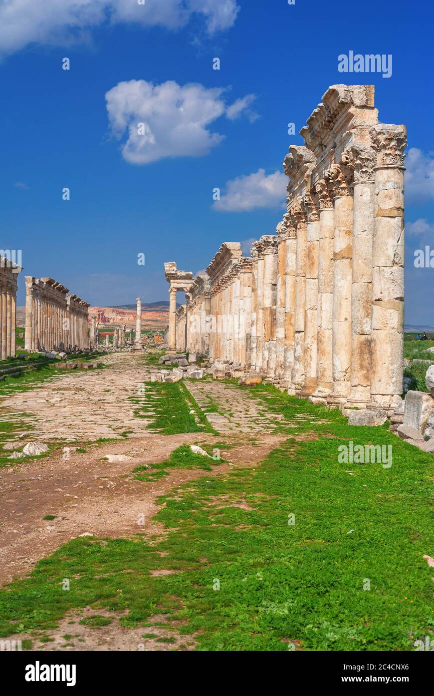 Antike Stadt Apamea, Apameia, Afamia, Syrien Stockfoto