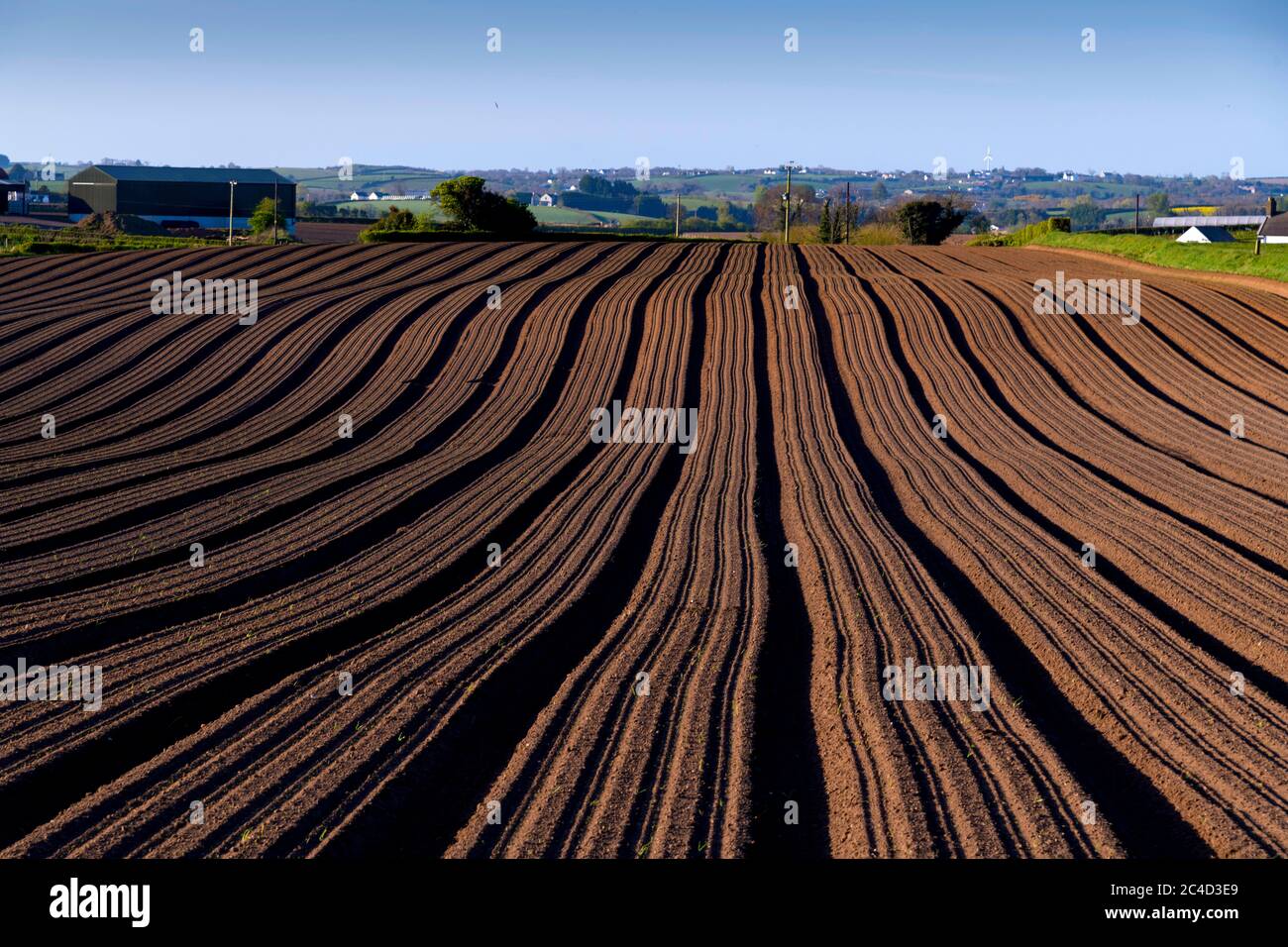Gepflügte Kartoffelfelder, Getreideanbau, Grünflächen, Norden unten, Stockfoto