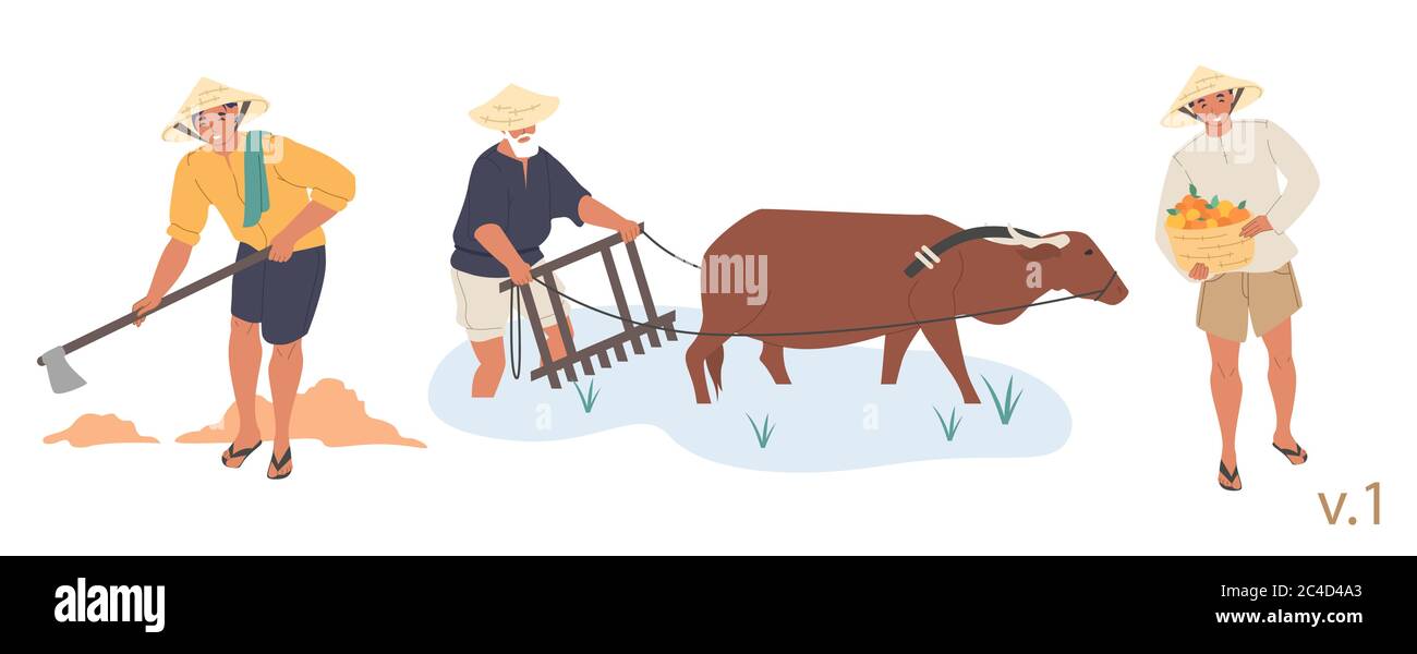 Asiatische Farmer Zeichensatz, Vektor flach isoliert Illustration Stock Vektor