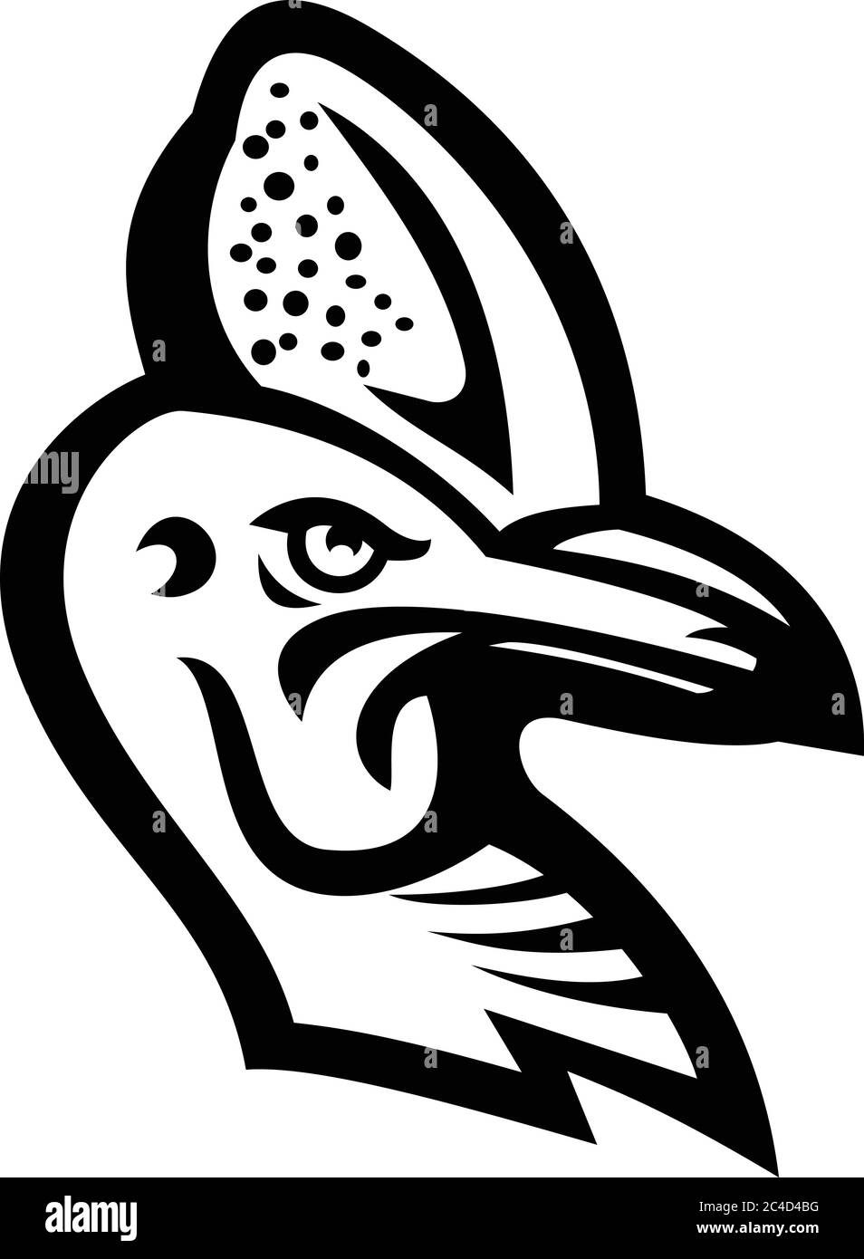 Schwarz-weiße Abbildung des Kopfes eines Cassowary, Gattung Casuarius, ratites ein flugunes Vogel aus Neuguinea und Australien von Seite an gesehen Stock Vektor