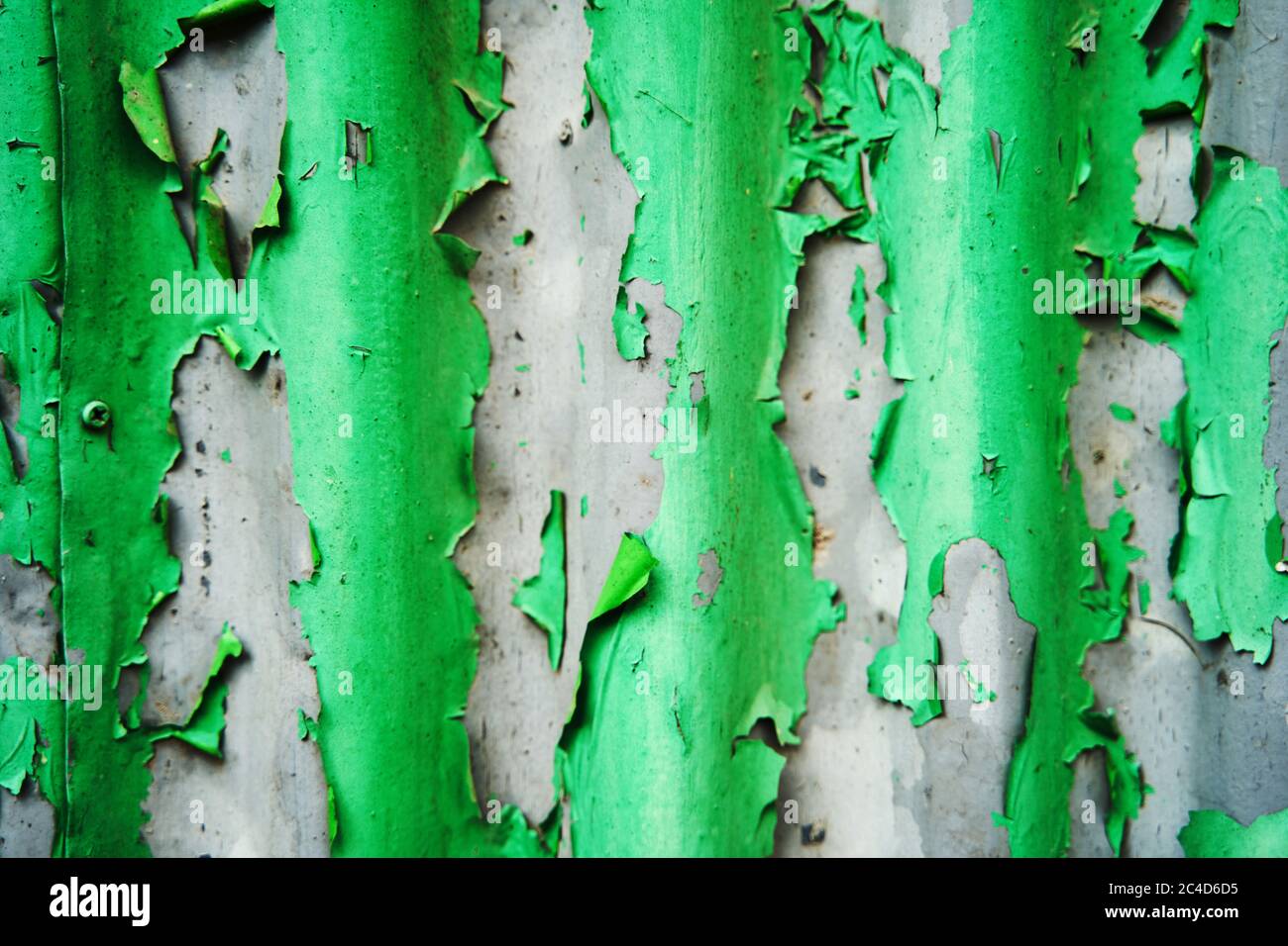 Textur von alter abblätternder grüner Farbe auf einem Eisenzaun Stockfoto