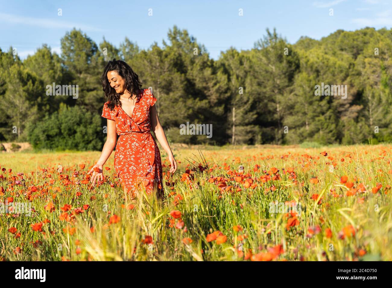 Junge Brünette Frau in einem roten Kleid steht in der Mitte eines Feldes von Mohnblumen berühren die Blumen während lächelnd Stockfoto