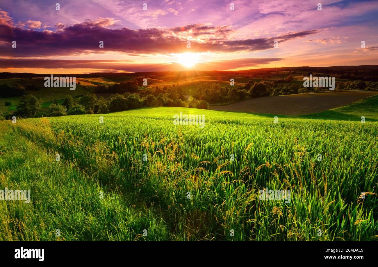 Sonnenuntergangsszenerie auf einem grünen Feld mit Wäldern und Hügeln am Horizont und dem Himmel in wunderschönen dramatischen und emotionalen Farben gemalt Stockfoto