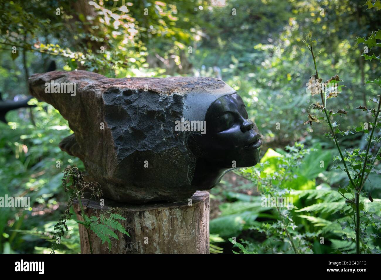 Churt, Surrey, Großbritannien. Juni 2020. RAW Beauty von Simbabwes Bildhauer Vengai Chiwawa Teil der Summers Place Auctions Online-Auktion der simbabwischen Skulptur, die heute startet. Simbabwe ist das einzige Land in Afrika, in dem Künstler Skulpturen aus lokalen Steinen machen. Es ist die erste Auktion dieser Art in Großbritannien, die sich ausschließlich auf die künstlerische Produktion dieses afrikanischen Landes konzentriert. Die Auktion endet am 5. Juli und umfasst Werke von berühmten Bildhauern der ersten Generation bis hin zu jüngeren Künstlern der dritten Generation. Die Preise reichen von £200 bis £40,000. Quelle: Andy Sillett/Alamy Live News Stockfoto