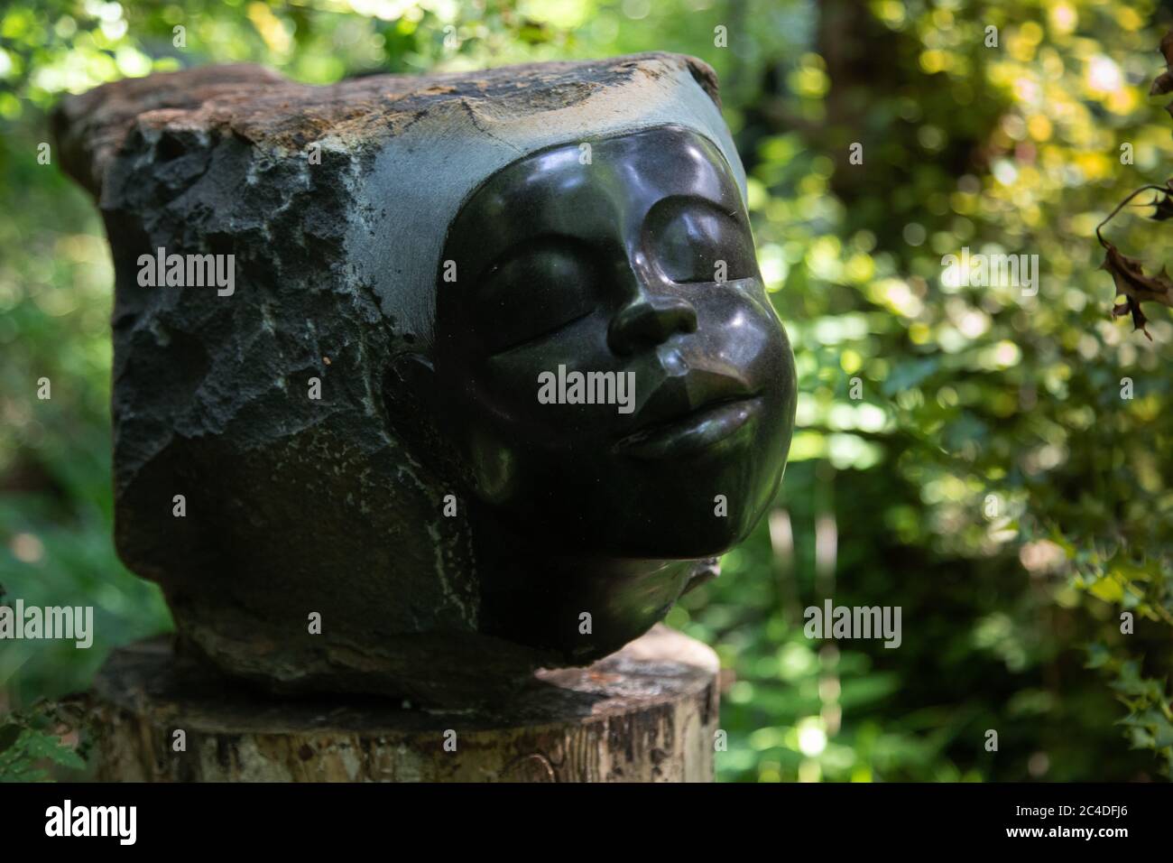 Churt, Surrey, Großbritannien. Juni 2020. RAW Beauty von Simbabwes Bildhauer Vengai Chiwawa Teil der Summers Place Auctions Online-Auktion der simbabwischen Skulptur, die heute startet. Simbabwe ist das einzige Land in Afrika, in dem Künstler Skulpturen aus lokalen Steinen machen. Es ist die erste Auktion dieser Art in Großbritannien, die sich ausschließlich auf die künstlerische Produktion dieses afrikanischen Landes konzentriert. Die Auktion endet am 5. Juli und umfasst Werke von berühmten Bildhauern der ersten Generation bis hin zu jüngeren Künstlern der dritten Generation. Die Preise reichen von £200 bis £40,000. Quelle: Andy Sillett/Alamy Live News Stockfoto