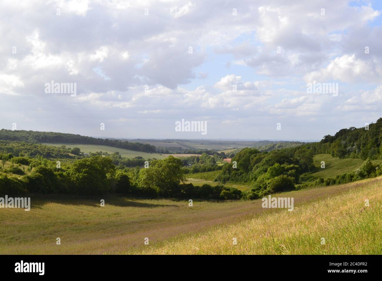 Wunderschönes trockenes Tal in Chalk Downs in der Nähe von Eynsford/Romney Street/Austin Lodge. Wildblumenwiesen und ruhige Wege, Insekten und Vogelgezwitscher. Typisch Kent. Stockfoto