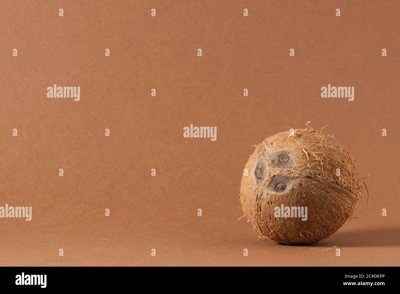 Reife Kokosnuss isoliert auf einem braunen Hintergrund. Stockfoto