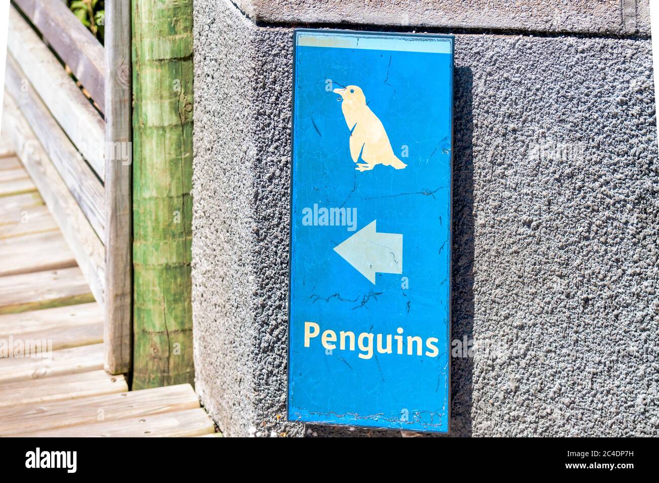 Schild mit der Angabe der Pinguinkolonie in Boulders Beach Stockfoto