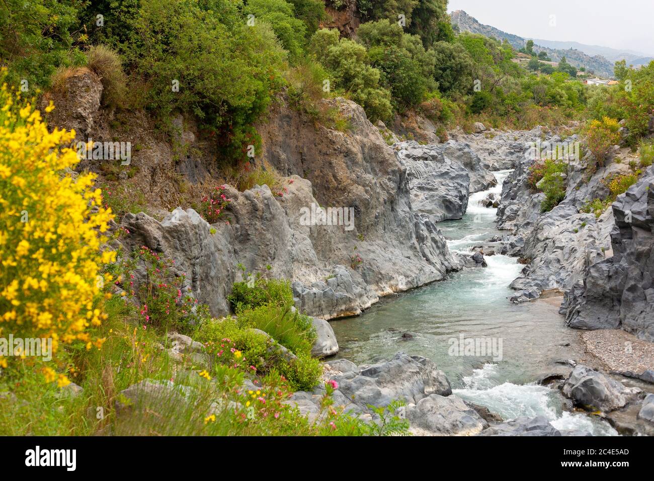 Der Fluss Gole Alcantara mit Blumen im Vordergrund. Gole Alcantara botanischen und geologischen Park in Italien. Stockfoto
