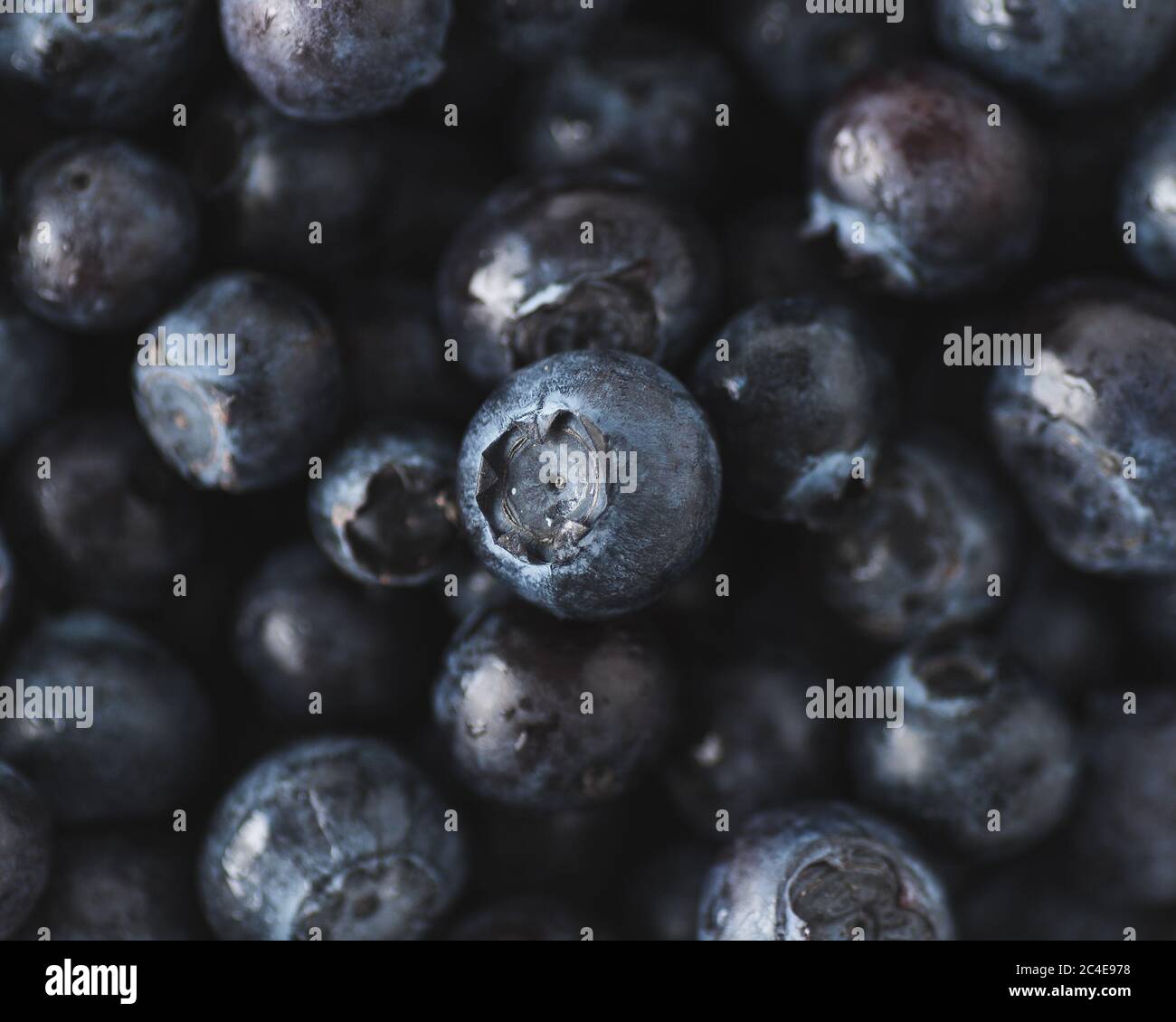 Makroaufnahme von Heidelbeeren Stockfoto