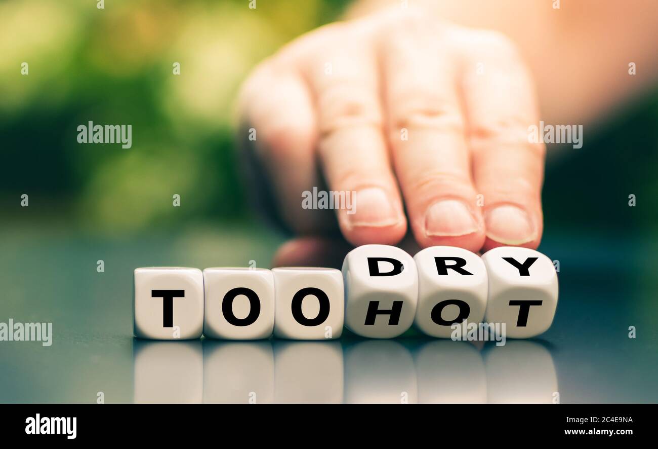 Würfel bilden die Ausdrücke 'zu heiß' und 'zu trocken'. Stockfoto
