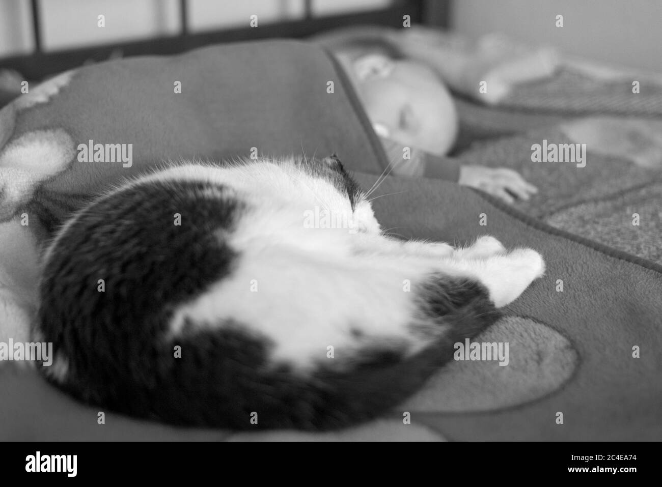 Susses Tierbaby Schwarzweiss Stockfotos Und Bilder Alamy