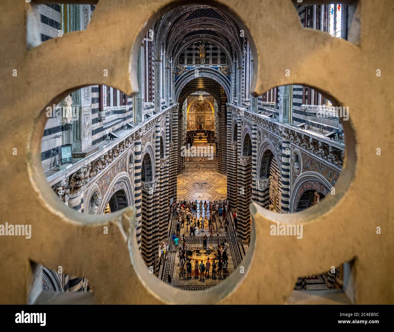 Erhöhte Ansicht des Seitenschiffs und des Altars, durch eine steinerne Balustrade geschossen, Kathedrale von Siena, Italien. Stockfoto