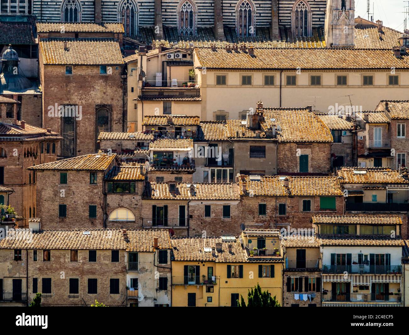 Traditionelles Wohneigentum mit der Nordwestseite des Siena Doms dahinter. Italien. Stockfoto