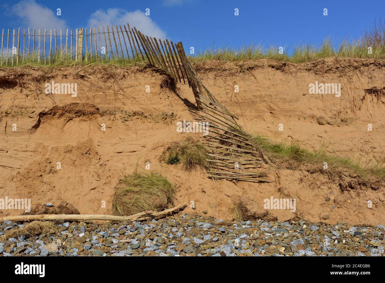 Sturm beschädigte Sanddünen und Fechten auf Dawlish Warren Strand. Stockfoto