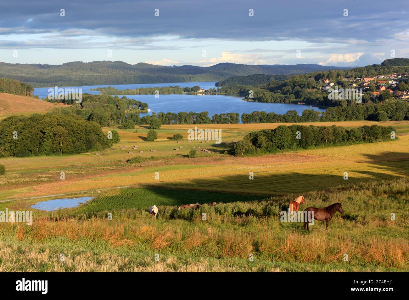 Blick über den See Julsø und Laven, in der Nähe von Silkeborg, Seenplatte, Jütland, Dänemark, Europa Stockfoto