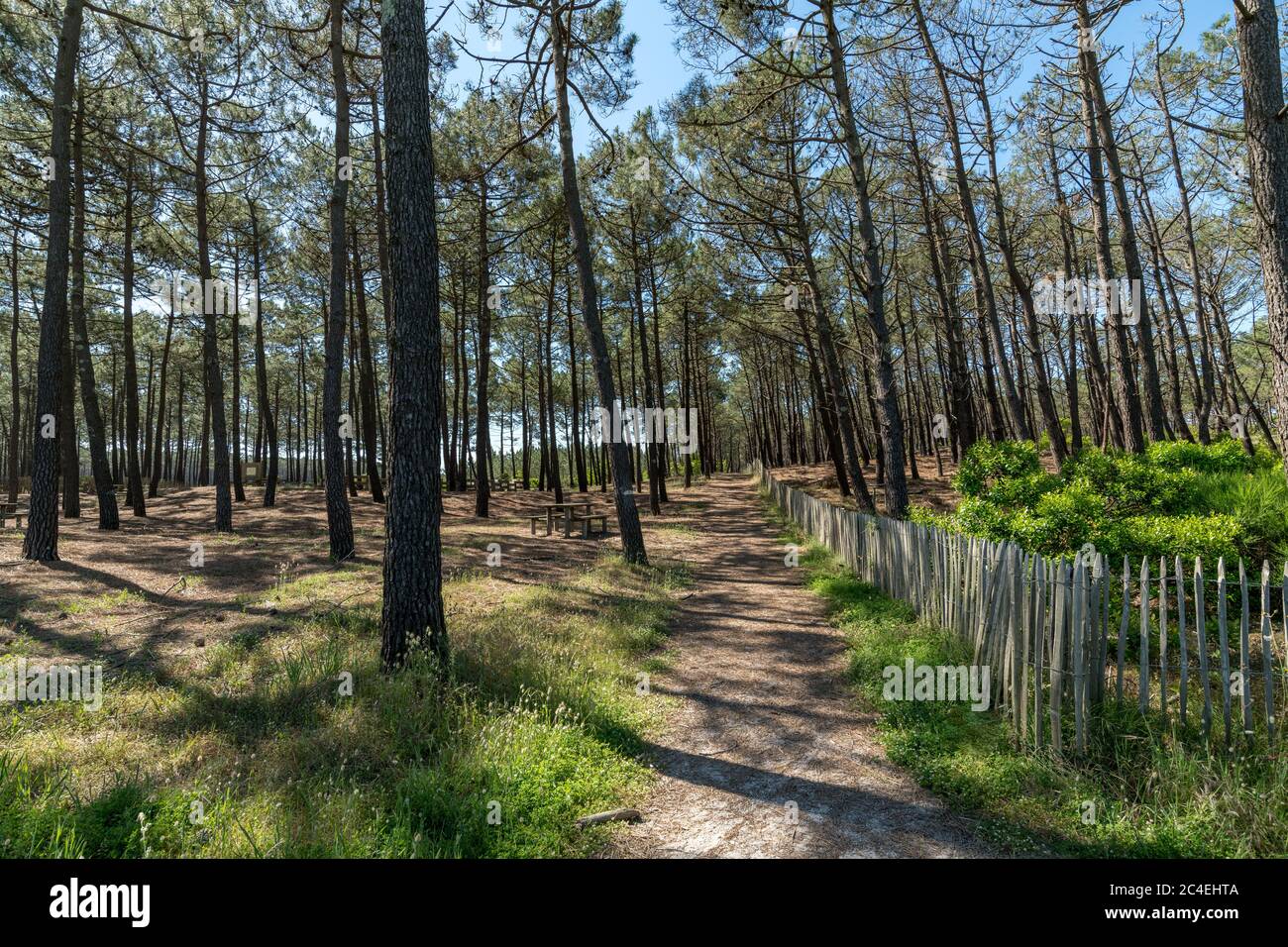 Landscape in gascogne france Fotos und Bildmaterial in hoher
