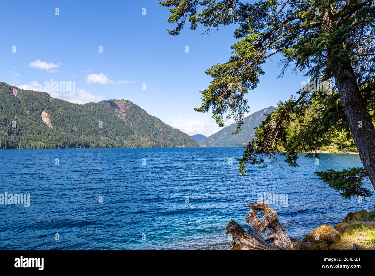 Blick über den Lake Crescent im Olympic National Park, an einem sonnigen Sommertag Stockfoto