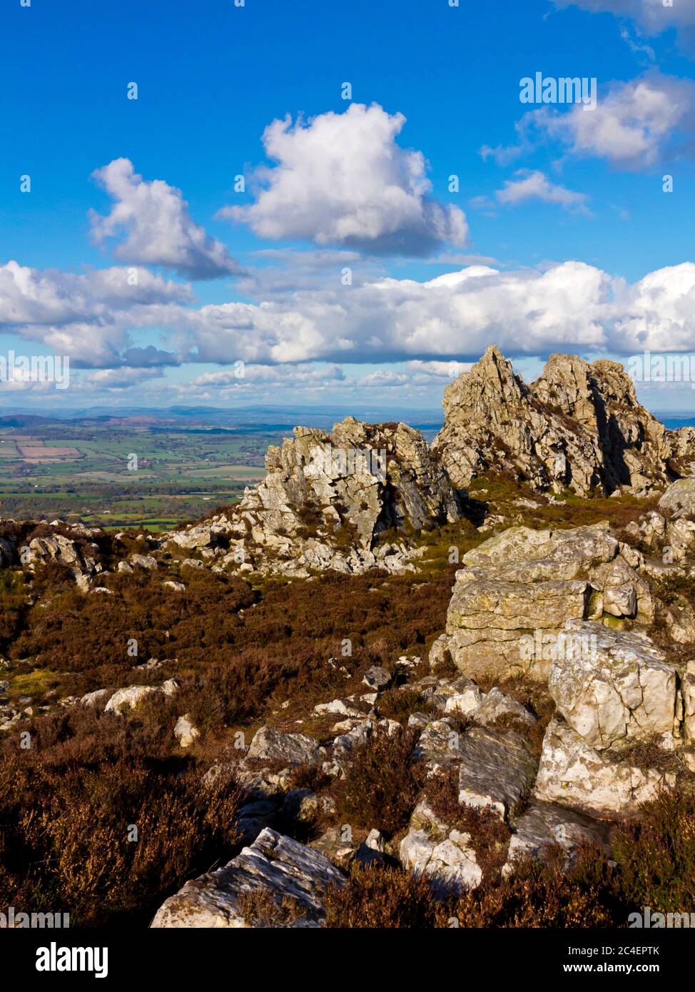 Shepherd's Rock Teil der Stiperstones Felsformationen in den Shropshire Hills England Stockfoto