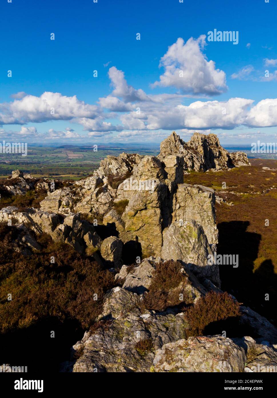 Shepherd's Rock Teil der Stiperstones Felsformationen in den Shropshire Hills England Stockfoto