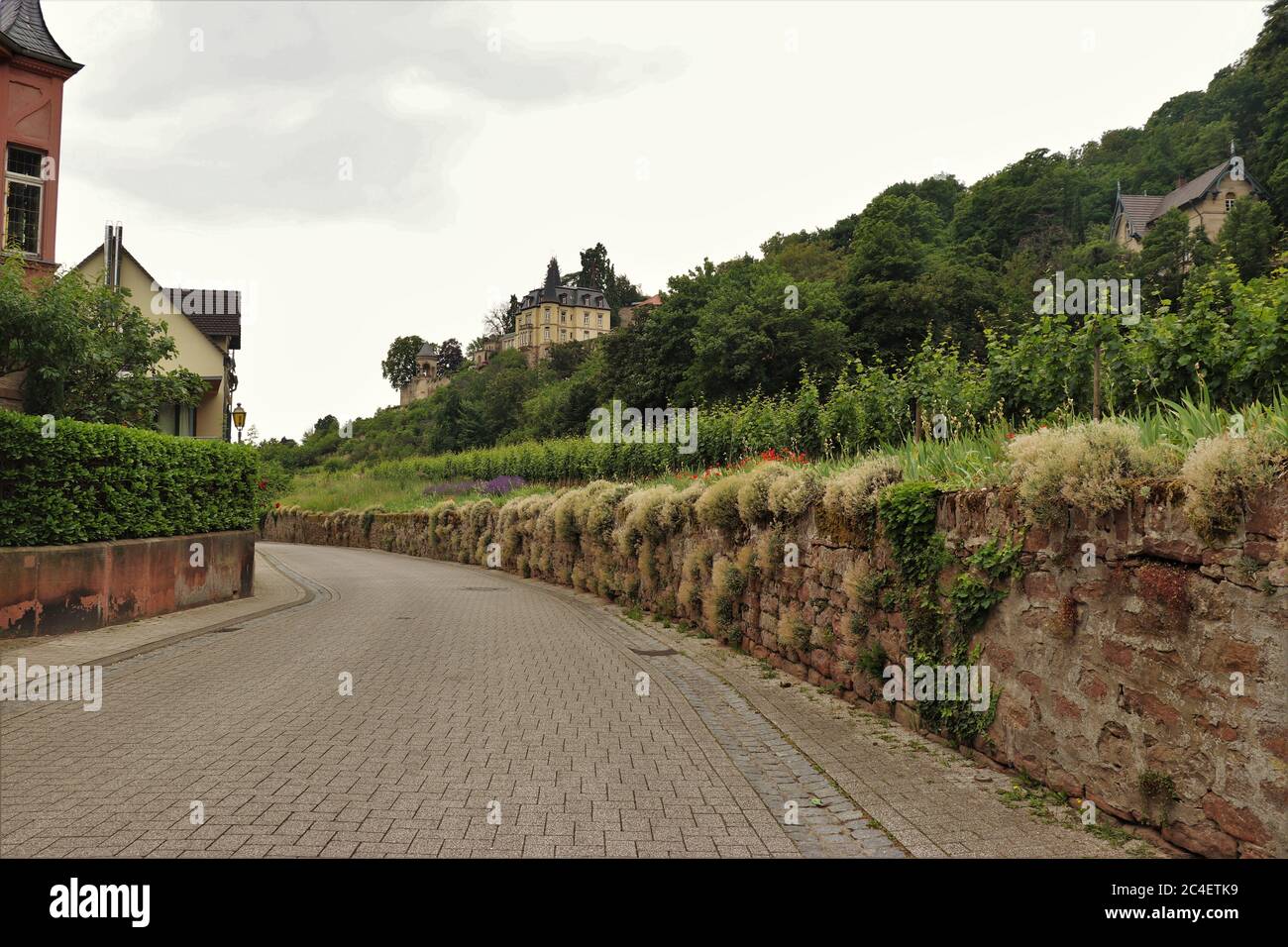 Weinberge und alte Häuser im deutschen Weinland. Haardt, Deutschland Stockfoto