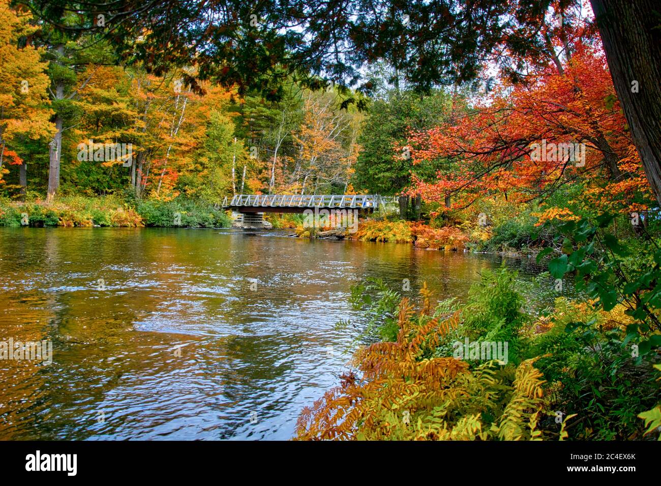 Erstaunliche Aussicht auf eine Brücke über den Fluss Rapid mit Herbstlaub Farbe. Stockfoto