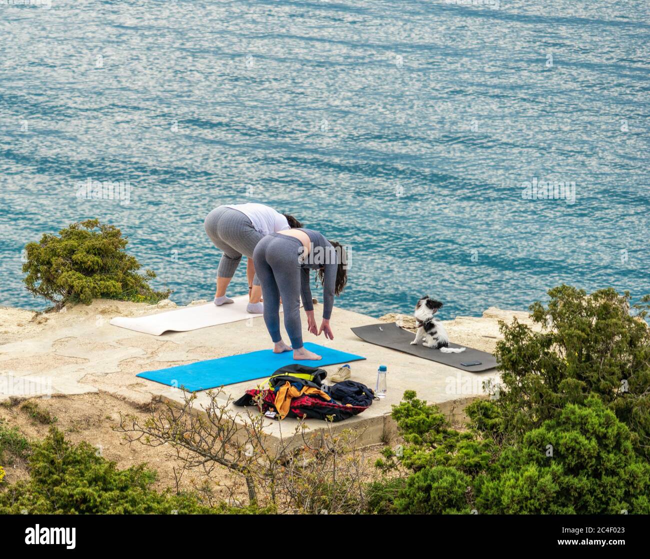 Zwei dicke Frau in weiß-grauem Kostüm beim Yoga und beim Blick auf den Hund am Strand in der Nähe des Meeres. Hund auf grauer Yogamatte sitzend. Speicherplatz kopieren. Der Stockfoto