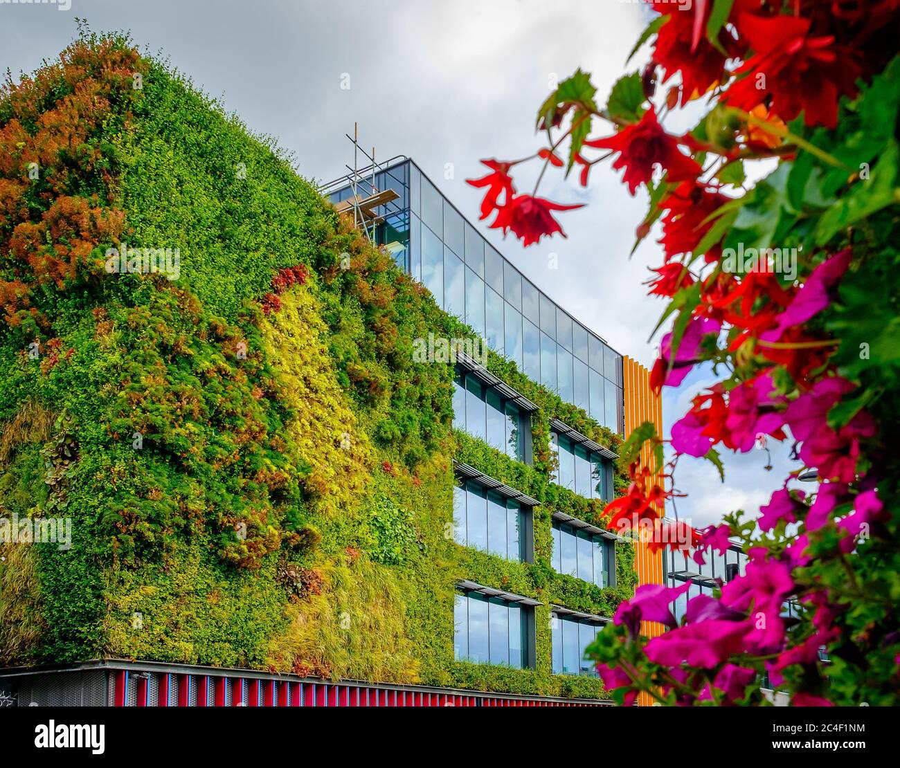 London, Großbritannien, 2019. August, Fassade des Gebäudes von Viacom International Media Networks in Camden Town Stockfoto