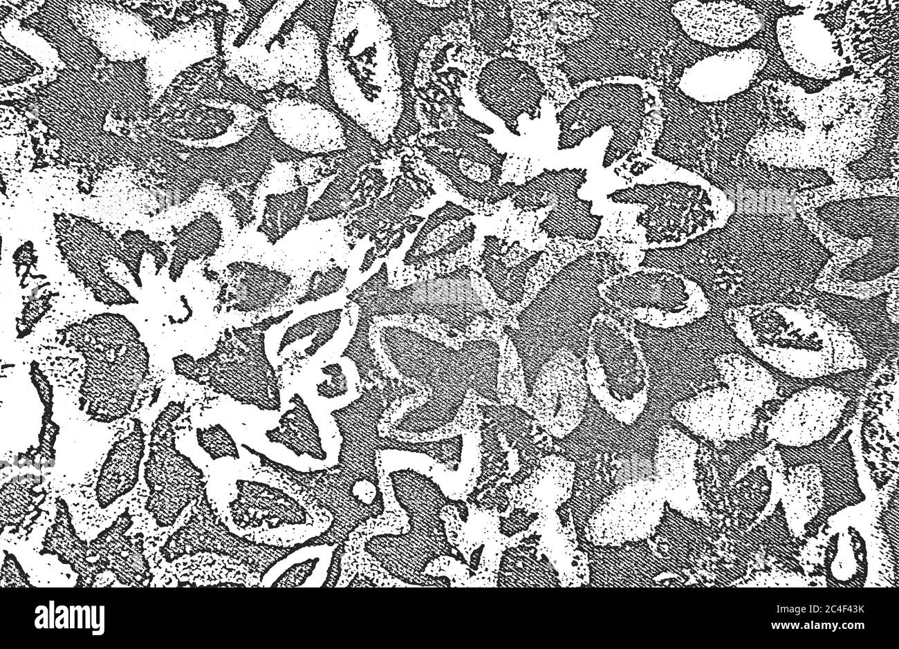 Verfremdete Overlay-Struktur aus Stoff. Textil mit östlichen floralen Ornament, Blätter und Blumen. Grunge Hintergrund. Abstrakt Halbton Vektor illustrati Stock Vektor