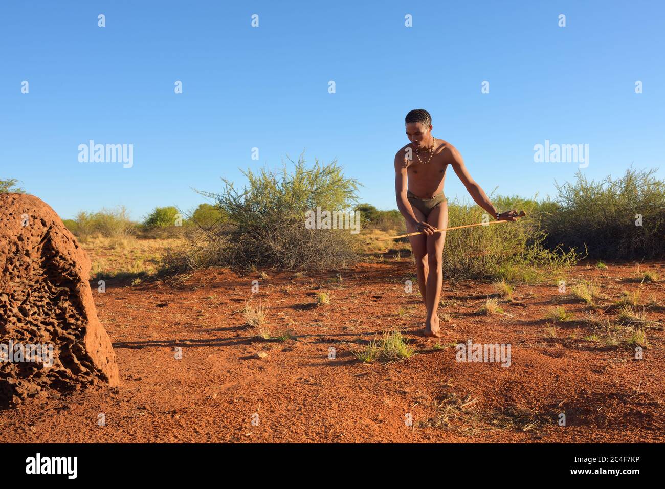 KALAHARI, NAMIBIA - 24. JAN 2016: Buschmann-Jagd in der Kalahari-Wüste. Die San, auch Buschmänner genannt, sind Mitglieder verschiedener indigener h Stockfoto