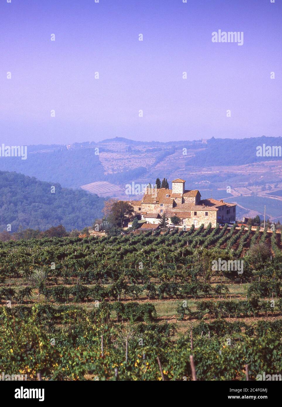 Toskanische Villa und Weinberg, Provinz Lucca, Toskana Region, Italien Stockfoto