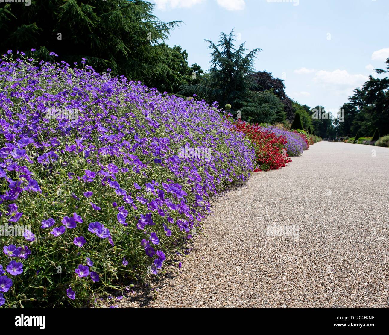Krautige Grenze in Kew Gardens Stockfoto