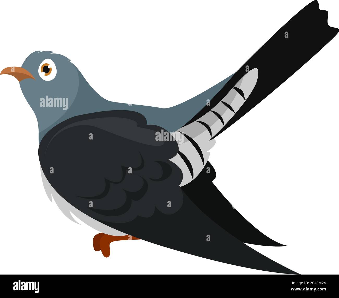 Schwarzer Kuckuck, Illustration, Vektor auf weißem Hintergrund Stock Vektor