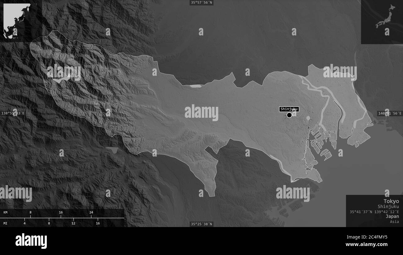 Tokio, Metropole Japans. Graustufen-Karte mit Seen und Flüssen. Form präsentiert gegen seine Landesfläche mit informativen Überlagerungen. 3D-Rendering Stockfoto