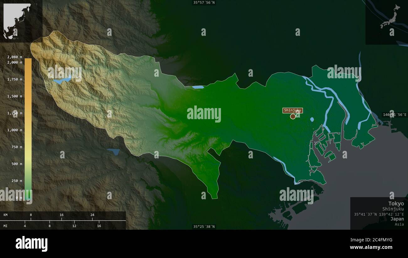 Tokio, Metropole Japans. Farbige Shader-Daten mit Seen und Flüssen. Form präsentiert gegen seine Landesfläche mit informativen Überlagerungen. 3D-Renderin Stockfoto