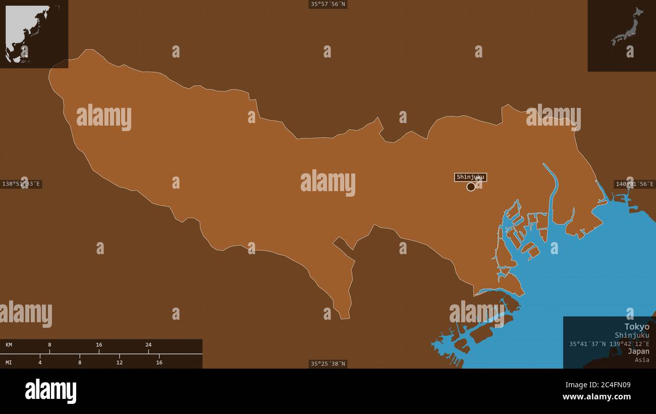 Tokio, Metropole Japans. Gemusterte Feststoffe mit Seen und Flüssen. Form präsentiert gegen seine Landesfläche mit informativen Überlagerungen. 3D-Rendering Stockfoto