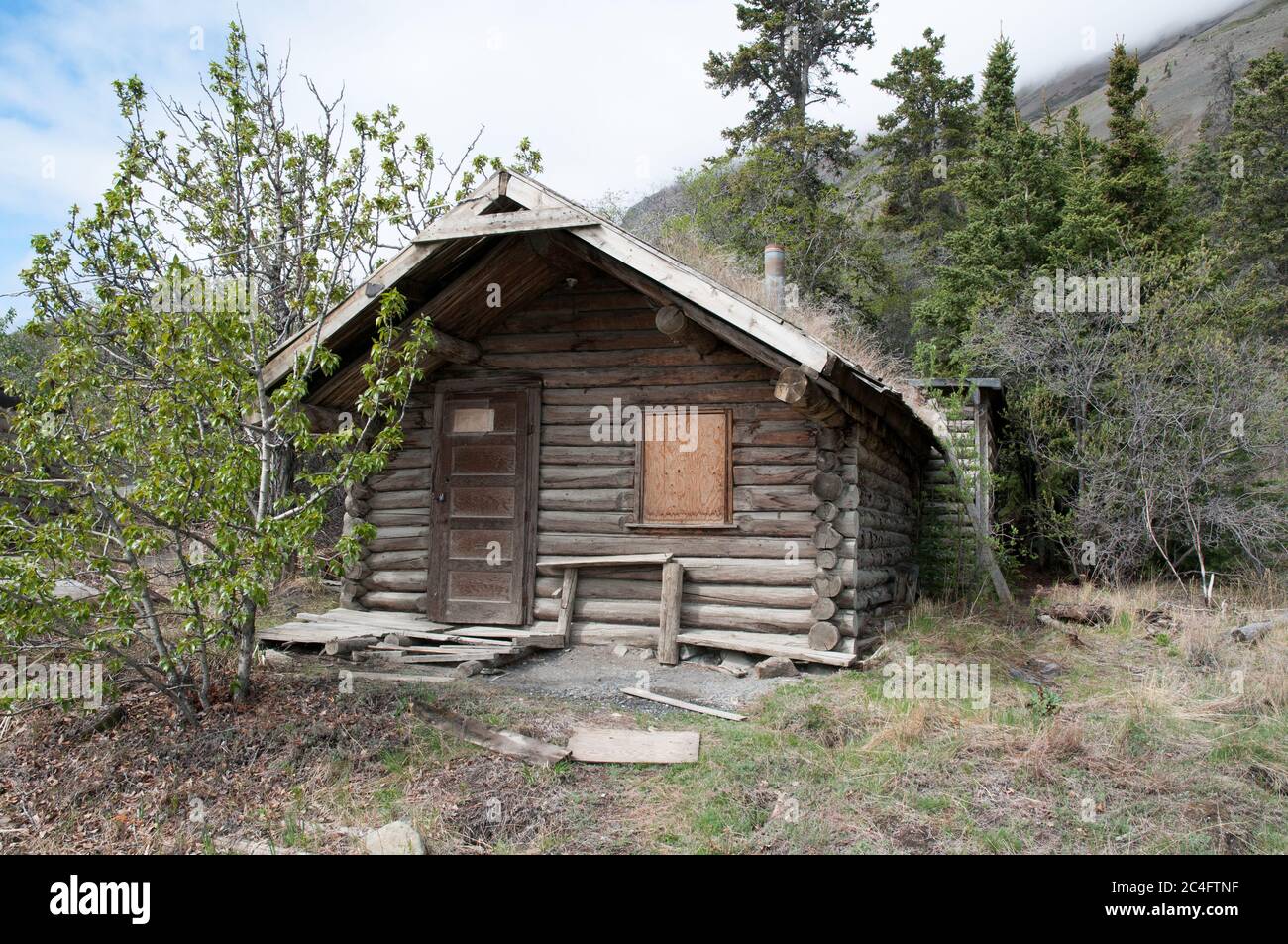 Eine verlassene historische Klondike Gold Rush Ära Wildnis Prospektor Log Cabin Kluane National Park, Yukon Territory, Kanada. Stockfoto
