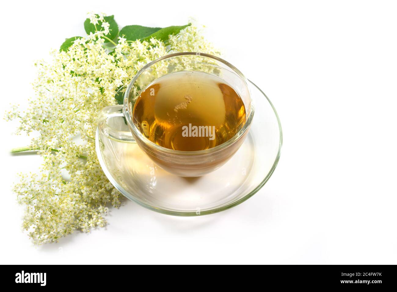 Holunderblütentee in einer Glasschale mit einigen Blüten isoliert auf weißem Hintergrund, natürliches Hausmittel gegen Erkältung, Grippe und Fieber, Kopierraum, selecte Stockfoto