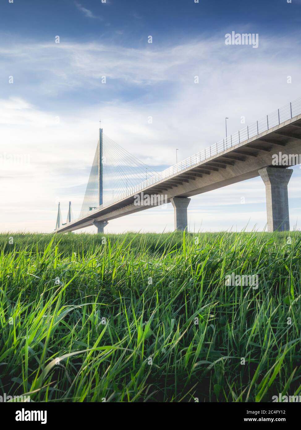 Die Mersey Gateway Bridge Stockfoto