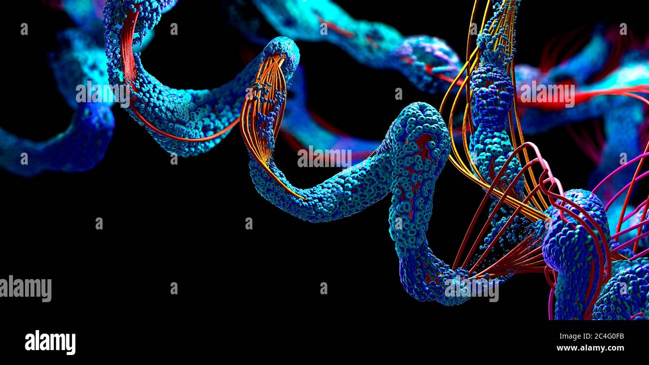 Protein, 3d-Illustration. Stockfoto