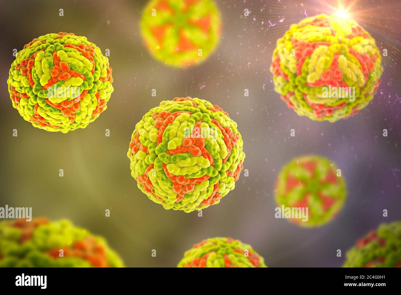 Japanisches Enzephalitis-Virus (JEV), Computerdarstellung. JEV ist ein RNA-Virus (Ribonukleinsäure) aus der Familie der Flaviviridae. Es wird durch Culex sp. Moskitos übertragen und verursacht Enzephalitis (Hirnentzündung). Stockfoto