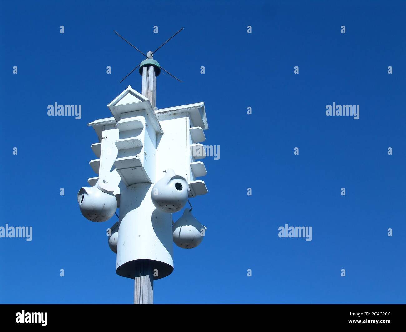 Weißes Vogelhaus an einem klaren blauen Himmel Stockfoto