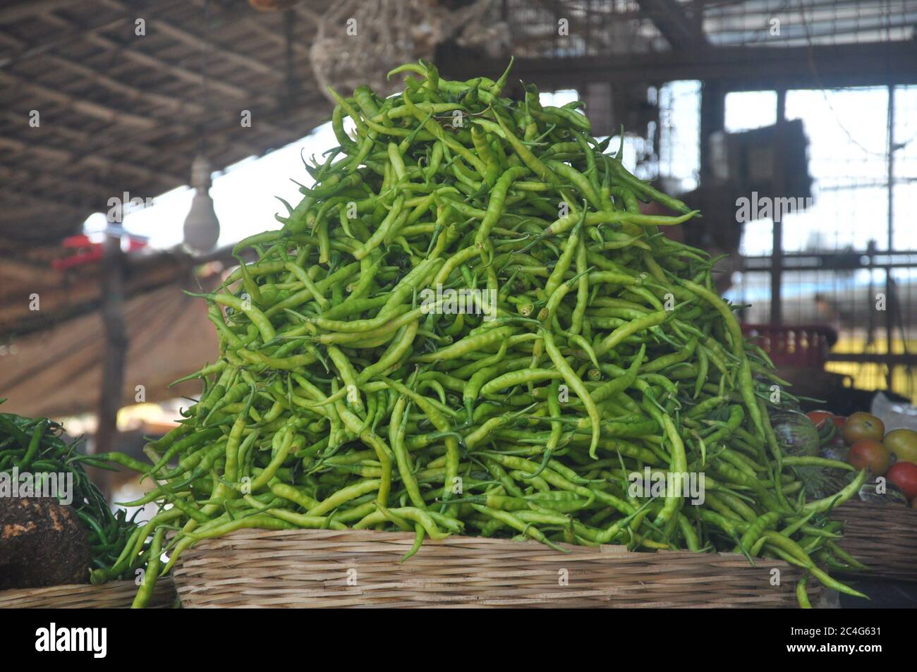 Haufen von grünen Chilischoten auf dem indischen Gemüsemarkt Stockfoto